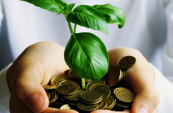 Gestion du patrimoine : comment bien gérer son budget et obtenir un patrimoine prospère ?